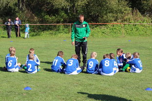 乐鱼体育在线登录-中国足球年度战术视频分析内容频次统计，中国足球战术风格